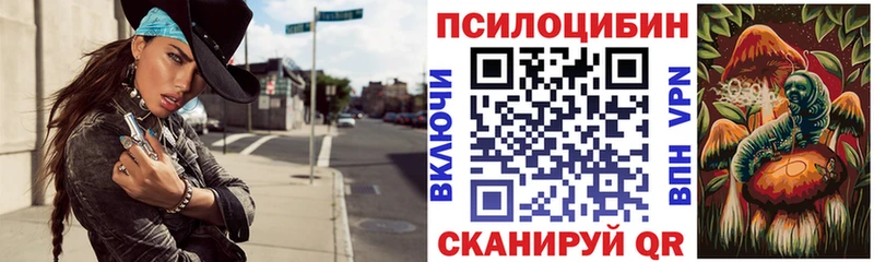Купить  Иланский  Псилоцибиновые грибы GOLDEN TEACHER 